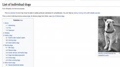 Perros en el espacio, perros en la guerra, perros de famosos. Una página de perros por doquier. 